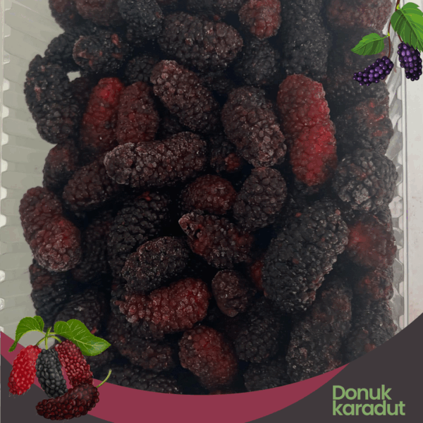 Donuk Karadut