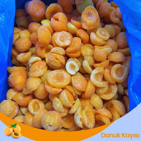 Donuk Kayısı